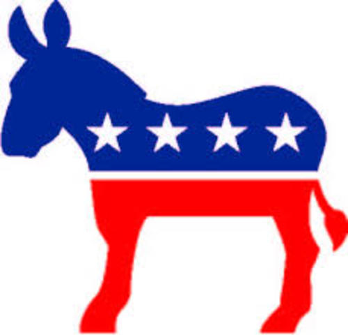 Nebraska Democratic official ousted for Scalise comment